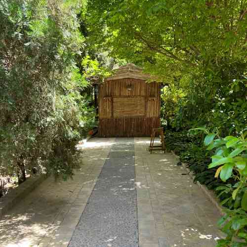 علی ساروی رفیق ببین دوباره به روزگار میبازم